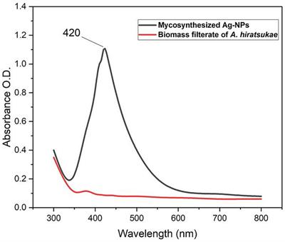 Endophytic Aspergillus hiratsukae mediated biosynthesis of silver nanoparticles and their antimicrobial and photocatalytic activities